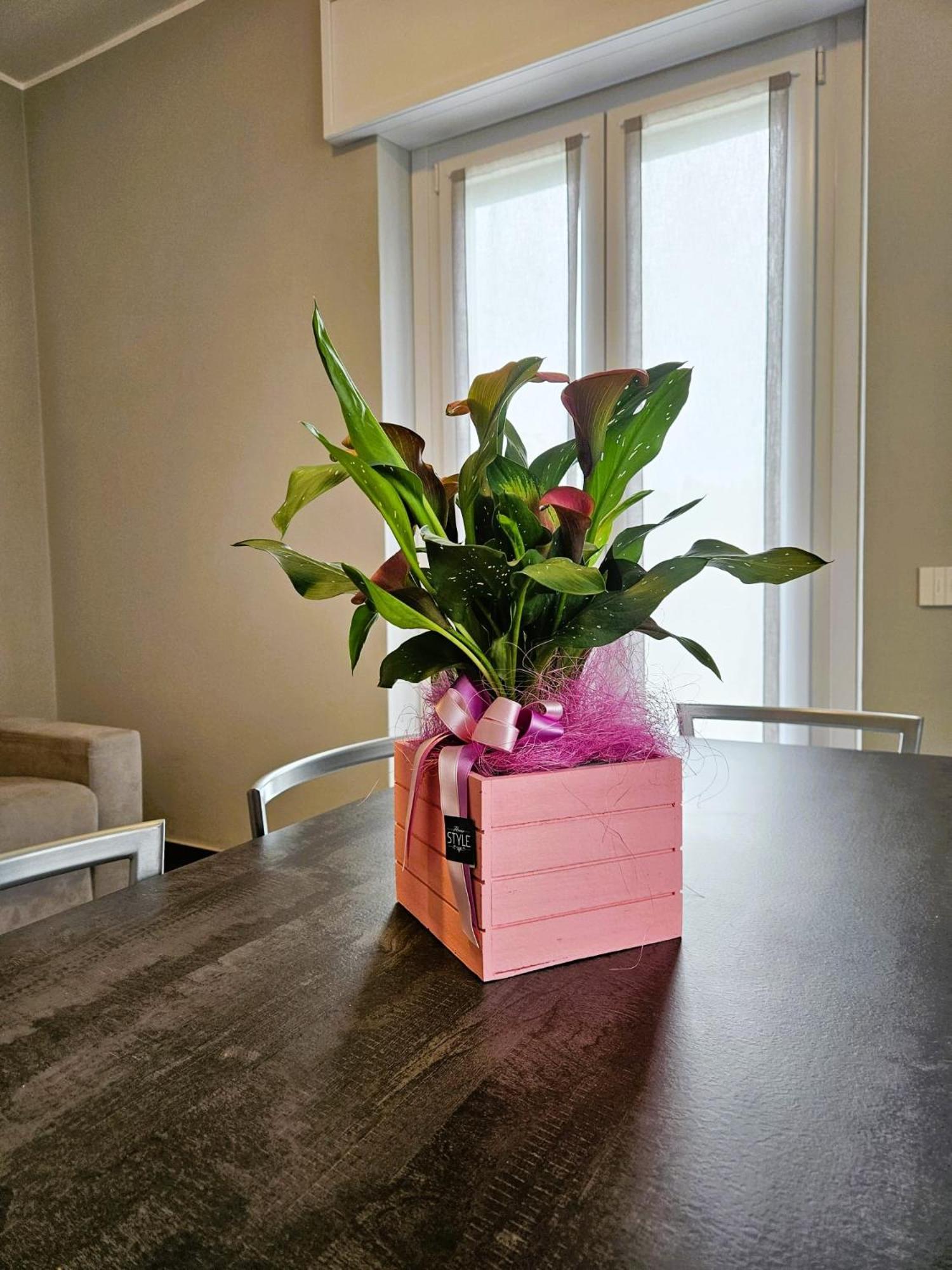 Via Brennero 5 Apartments Pastrengo Εξωτερικό φωτογραφία